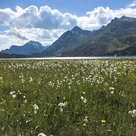 Chesa Muot Mulin By Interhome * Maloja