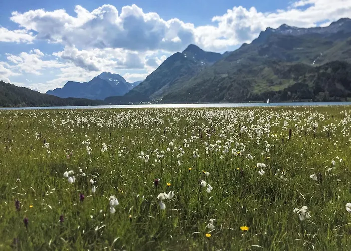 Chesa Muot Mulin By Interhome * Maloja